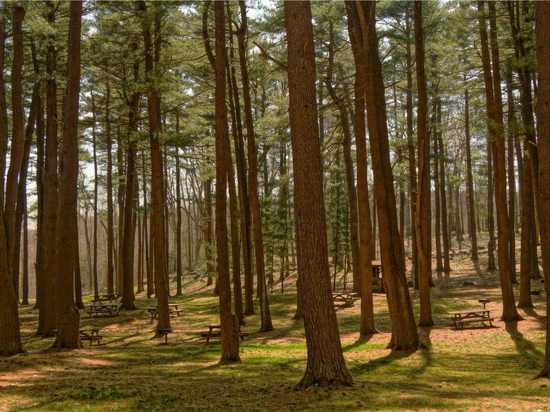 sudoku daily practice screenshot 4